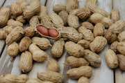 Testing for peanut allergies in Chicago